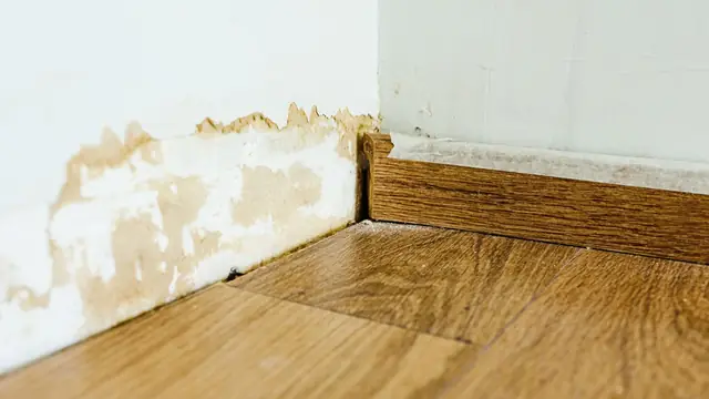 Water stain on a wall above a wood floor and baseboard