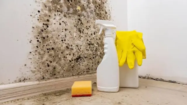 Mold on a bathroom wall corner with a spray bottle, sponge and gloves