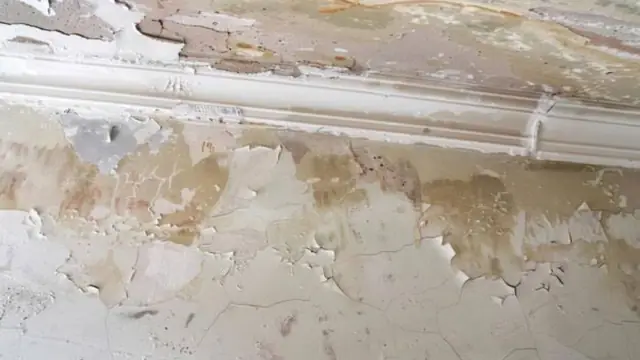 Peeling paint and stains on a wall below crown molding